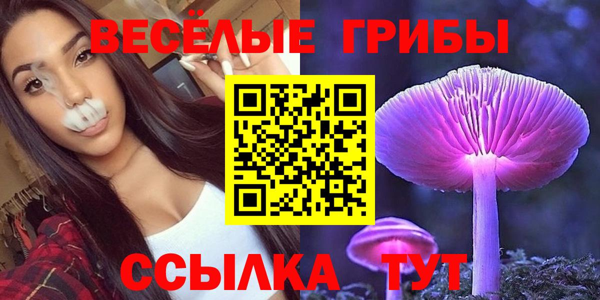 Галлюциногенные грибы мухоморы Павловский Посад