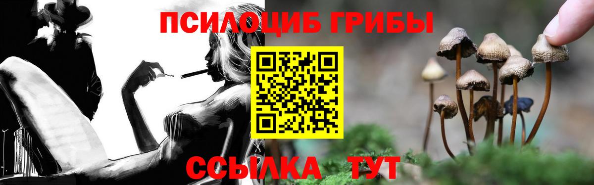 цены наркотик  Псилоцибиновые грибы мухоморы  Вход с VPN  Павловский Посад  Галлюциногенные грибы Psilocybe 